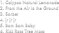 Calypso Natural Lemonade
From the Air to the Ground
Sorbet
jr jr jr
Bam Bam Baby
Rick Ross Tree Moss